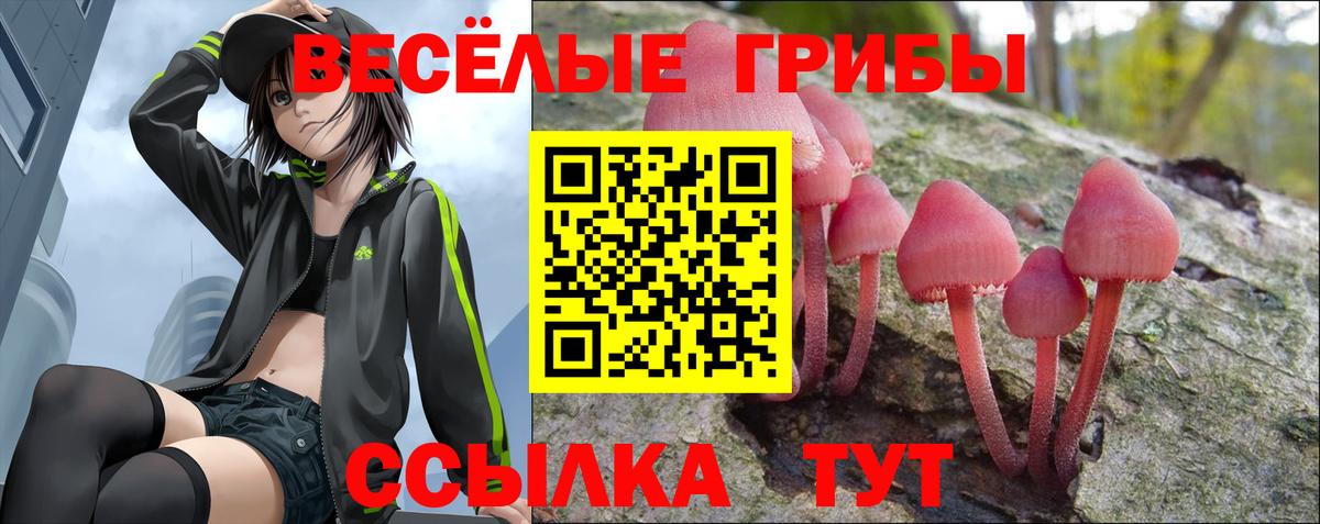 Полысаево  Псилоцибиновые грибы GOLDEN TEACHER  Вход с VPN 